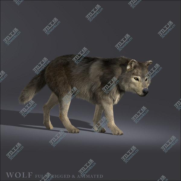 images/goods_img/20210312/Wolf  FUR ANIMATED/4.jpg